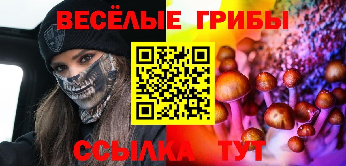 Самара  Псилоцибиновые грибы мухоморы  Псилоцибиновые грибы MAGIC MUSHROOMS  Вход с VPN 
